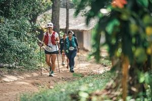 BIB: 
                            <button type="button" onclick="openModal(25276458)" class="btn btn-primary btn-sm float-right btn-popup" data-toggle="modal" data-target=".modal-high-quality">
                        <i class="fas fa-shopping-cart"></i> Add to Cart
                    </button>
                                            <button type="button" onclick="isThisMe(25276458, true)" class="btn btn-success btn-sm float-right btn-popup btn-isme hidden" data-toggle="tooltip" data-placement="bottom" title="นี่คือรูปของคุณใช่ไหม คลิกที่นี่เพื่อเอาเข้าอัลบั้ม">
                        <i class="fas fa-plus"></i> Add to album
                    </button>
                    <button type="button" onclick="isThisMe(25276458, false)" class="btn btn-warning btn-sm float-right btn-popup btn-isnotme hidden">
                        <i class="fas fa-ban"></i> Remove from album
                    </button>